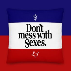 Don't Mess With Sexes | Premium Pillow